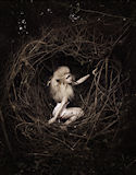 Allison as exotic bird on America's Next Top Model Season 12