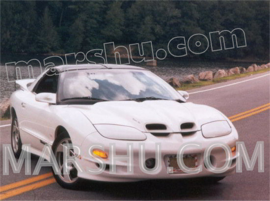 white firebird