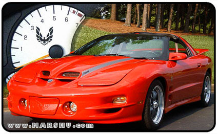Black Bird Car