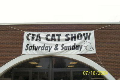 cat show