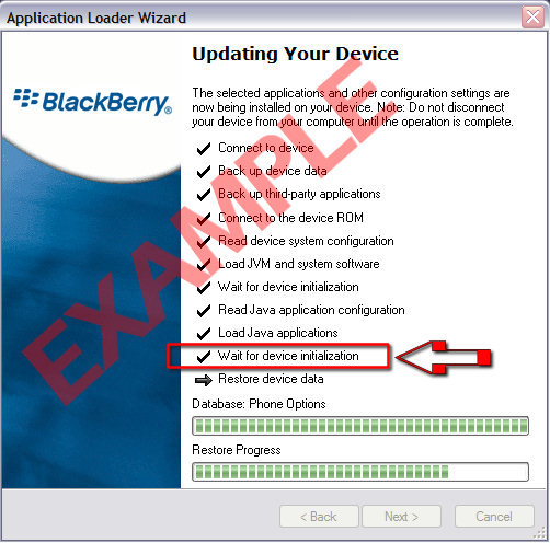 blackberry: wait for device initialization