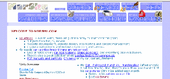 marshu.com redesign - blue bottons