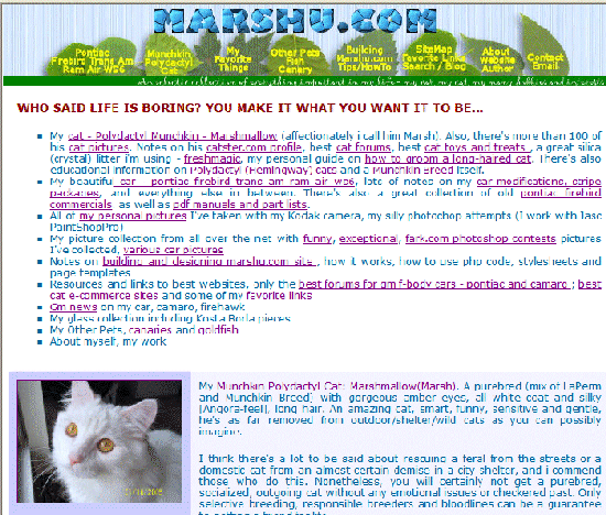 marshu.com redesign - grass leaves