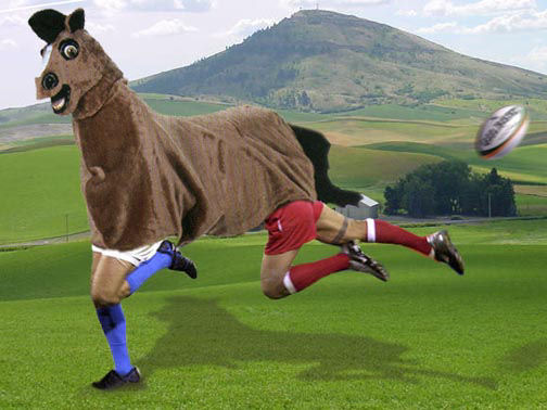 fark-photoshop-contest-horsesuit.jpg
