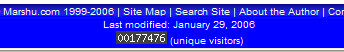 website visitors