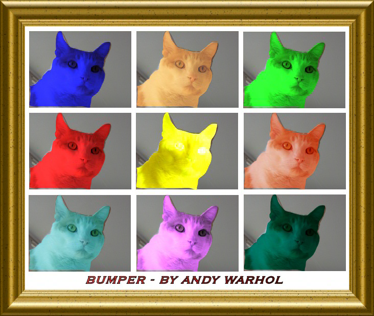 cat photoshop: andy warhol