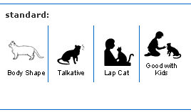 munchkin cat breed qualities