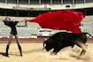 America's Next Top Model 7: Caridee with the bull in arena