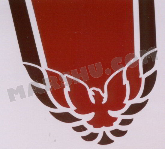 firebird emblem on front of car stripe