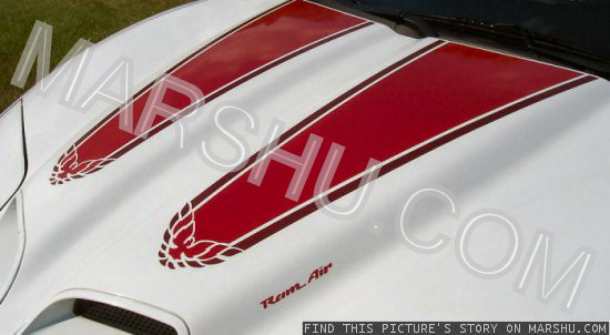 pontiac firebird 30th annivesary red car stripes