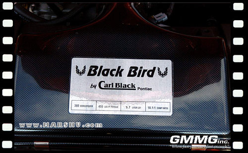 GMMG Blackbird - car window sticker