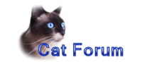 cat forum